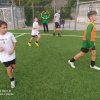 Leva 2011 Polo